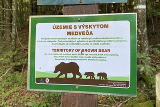 Komentář: Medvědi. Jak se z běžného problému stal ideologický boj - Seznam Zprávy