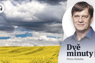 Glosa: Švédský stůl nekončí. Další dotační miliarda pro Babiše - Seznam Zprávy
