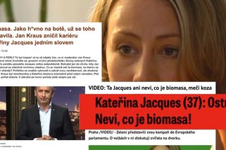 Nejhloupější husa české politické scény, řvali na ni. Sličná politička dostala strašlivé kapky | Dvorana slámy