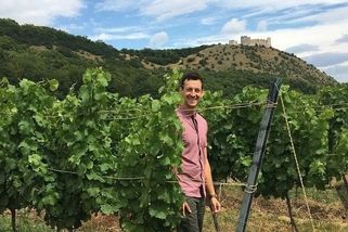 Jako první u nás vyrábí veganské víno. Je to pracnější, ale rozdíl je poznat, říká vinař Jaroslav Gracl - Novinky
