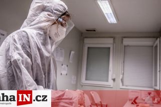 prahain.cz/zdravi/do-prazskych-ulic-se-vraci-rousky-14785.html?utm_source=www.seznam.cz&utm_medium=seznam_distribuce&utm_campaign=lide