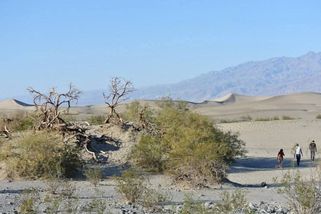 Rodina vyrazila na dovolenou do Death Valley. Pak na 13 let zmizela beze stopy - Médium.cz