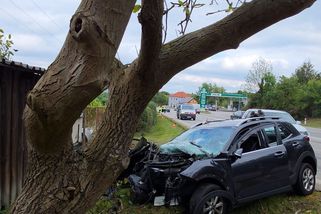 Náraz auta do stromu na Českobudějovicku nepřežil řidič ani spolujezdkyně - Novinky