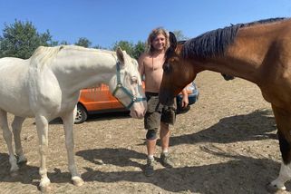 Je to jako na poušti, říká farmář z Pošumaví. Část chovu musí dát kvůli suchu pryč