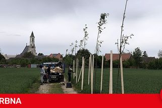 Nadávky kvůli novým stromům. Náhradní výsadba kvůli D1 u Přerova rozlítila zemědělce