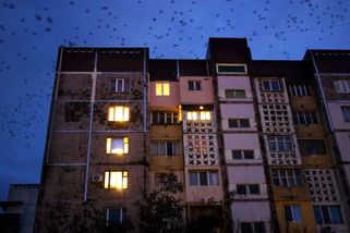 Bez plynu se Podněstří zastavilo a mrzne - Novinky