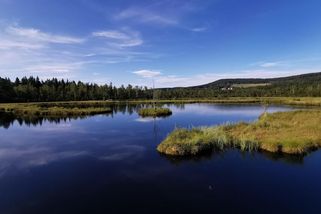 Šumavská divočina a vlastní bazén: tip na skvělé ubytování - Médium.cz