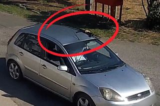 Na střeše auta měl samopal a vyhrožoval lidem. Policie v okrese Trebišov zatkla agresora - Novinky