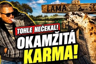 Okamžitá karma: Když se špatná rozhodnutí okamžitě vymstí | Minuty do katastrofy