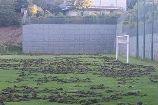 Nejdřív vyšlou zvěda, pak zryjí hřiště. Nájezdům „černých nepřátel“ čelí i hlavní město