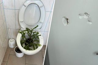 Žáci měli frustraci z konce prázdnin. Hned první den zdemolovali hořickou školu | TN.cz