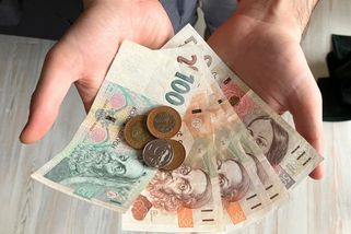 Povolání, která sotva dosáhnou na minimální mzdu. Nejen zemědělci a uklízečky často žijí na hranici chudoby