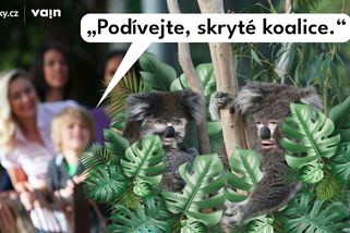 Hádanka: Živí se sliby a před volbami se přemnoží. Kdo je to? - Novinky