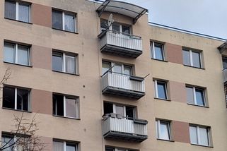 Byt v Českém Krumlově zapálili pes s kočkou - Novinky
