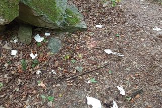 Příroda není toaleta, upozorňuje turisty Podyjí. Národní park bojuje s ubrousky - Seznam Zprávy