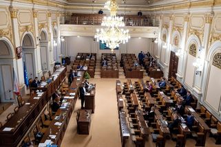 Vládní poslanci se sešli k odsouzení sjezdu sudetských Němců - Novinky