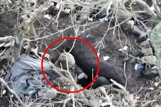 „Rusové se psychicky hroutili.“ Ukrajinci ukázali tvrdou realitu úspěšné ofenzivy
