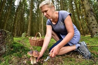 Kam o víkendu na houby: Mapa meteorologů ukazuje oblasti, kde budou mít houbaři největší šanci