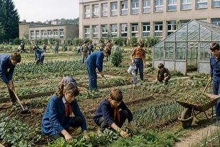 Za socialismu děti okopávaly školní pozemky a kutily v dílně. Dnešní žáci kladívko v životě neviděli - Médium.cz