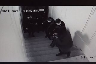 Seděli doma, bavili se. Skončili v poutech v policejní cele - Seznam Zprávy