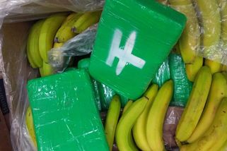 Zásilka bio banánů ukrývala ve skladu u Prahy kokain za miliardy - Seznam Zprávy
