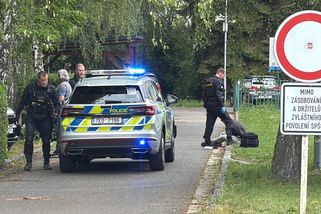 Policie obvinila mladíka z vraždy dívky v Pardubicích - Novinky