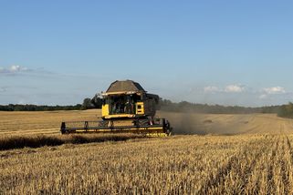 Velký zemědělský kvíz: Jak se vyznáte v traktorech, plodinách i hospodářských zvířatech?