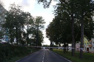 Osmnáctiletý mladík v audi srazil v Karlových Varech mladou ženu na přechodu, zranění nepřežila - Novinky