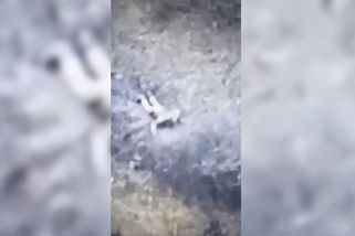 Rusové používají hnijící těla padlých jako štíty. Je to stejně marné - Novinky