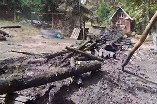 Policie odložila požár, při kterém na Karlovarsku uhořelo pět psů. Žháře nevypátrala - Novinky