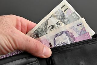 Mzdy v Česku razantně vzrostly: Ekonom krotí optimismus a odhadl, za jak dlouho doženeme Němce
