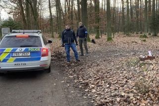 Pátrací akce v Klánovickém lese pokračuje. Policie bude na místě do setmění - Seznam Zprávy