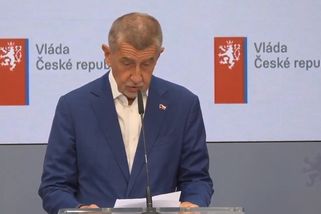 Babiš uklízí vlastní partu. Turka odstavil od vlády, Pavlovi vzkázal, že s ním už nikdy nechce do delegace