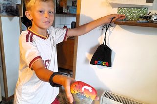 Desetiletý Maty pomáhá útulku malováním na kamínky. Nápad se zrodil pod sopkou
