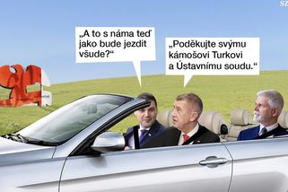 TMBK: Babiš míří na KVIFF. Spolu s nečekaným garde - Seznam Zprávy