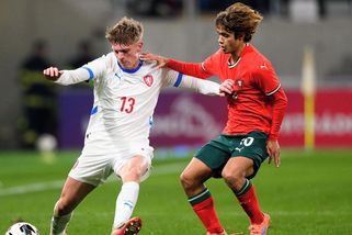 Artis ulovil posilu, o kterou stáli i v Německu - Sport.cz