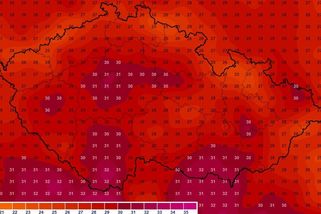 Česko čeká tropický den. Vedra však může zmírnit saharský prach - Novinky