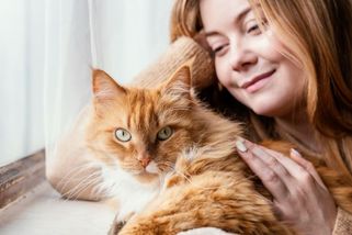 Felinoterapie aneb jak nám kočky léčí duši, aniž by si to daly za cíl - Médium.cz