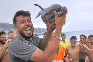 Z mláděte delfína si udělali migranti v Ceu...