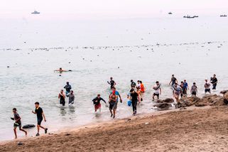 Migranti v Ceutě vytáhli z moře delfína. Záběry rozbouřily sociální sítě