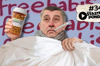 Šťastné pondělí: Babišův lék na imunitu. Nová vláda se shodla na programu - Seznam Zprávy