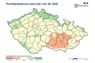 Vyražte o víkendu na houby, vybízejí meteorologové - Novinky