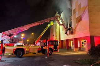 Při požáru supermarketu v Ostravě vyhořel zverimex, zvířata nepřežila - Novinky