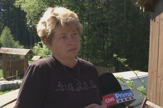 Hledá se fenka Greisí: Zoufalá majitelka nabízí tučnou odměnu. Kdo ji ukradl, není člověk, říká