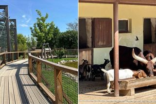 Nejlepší ZOO v republice láká rodiče na nízké vstupné. Zabaví (nejen) děti na celý den