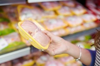 Veterináři odhalili salmonelu v kuřatech agrobaron...