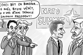 Macinka na summitu NATO v Ankaře - Médium.cz