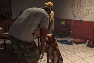 V GTA 6 můžete pohladit psa. A pak jeho hovínkem bombardovat NPC - INDIAN