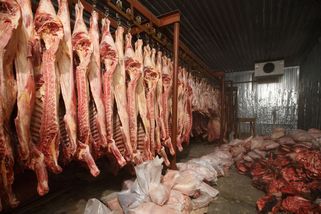 Maso budeme brzy vozit z Číny a Jižní Ameriky, varuje Pilčík - Seznam Zprávy
