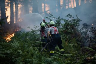 Ovlivnila požár v Národním parku České Švýcarsko klimatická změna? Jak? - Ekolist.cz
